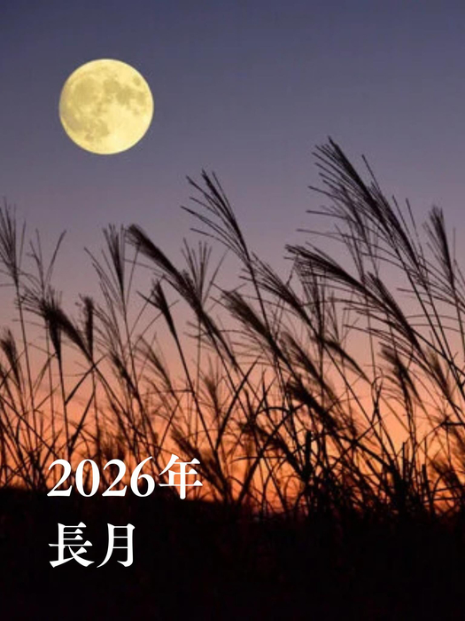 画像494