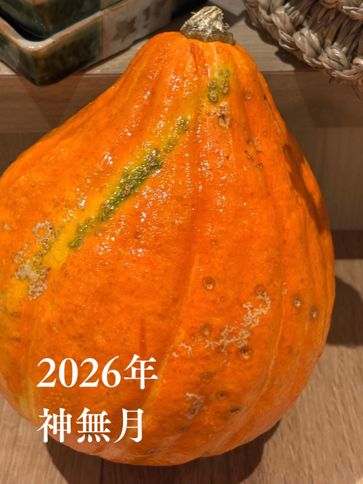 画像497